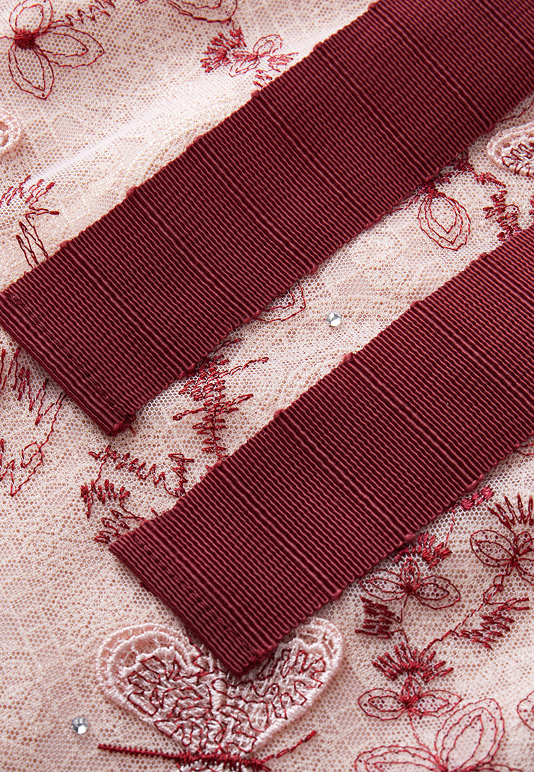 Motif Embroidery Lace-detail Mesh Dress