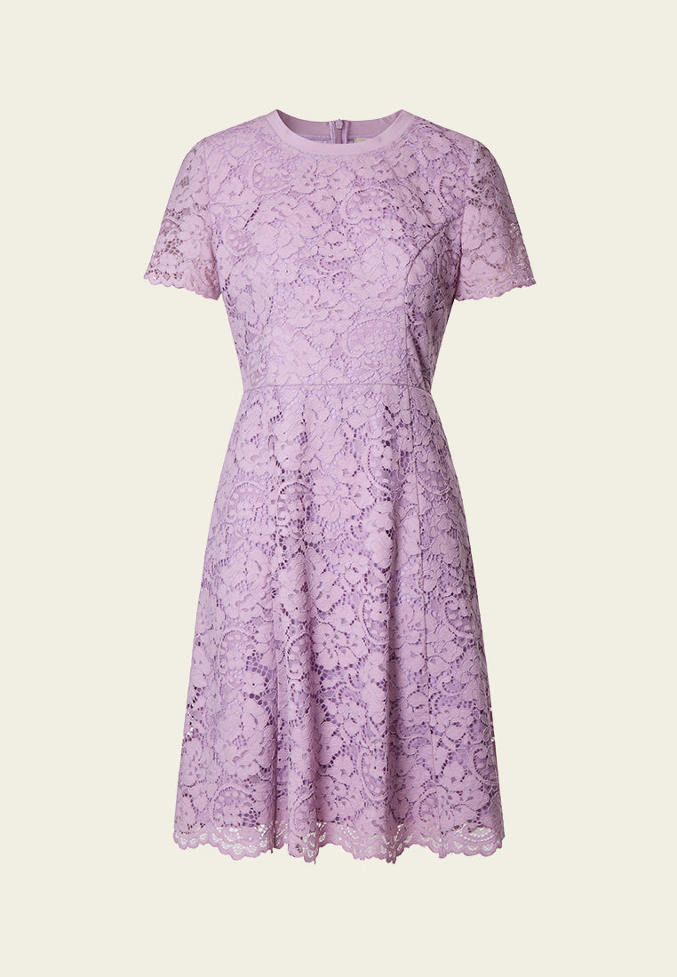 MOISELLE Lavender Lace Flared Cocktail Dress MOISELLE Lavender Lace Flared Cocktail Dress