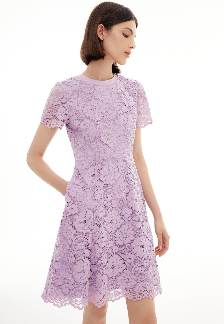 MOISELLE Lavender Lace Flared Cocktail Dress MOISELLE Lavender Lace Flared Cocktail Dress