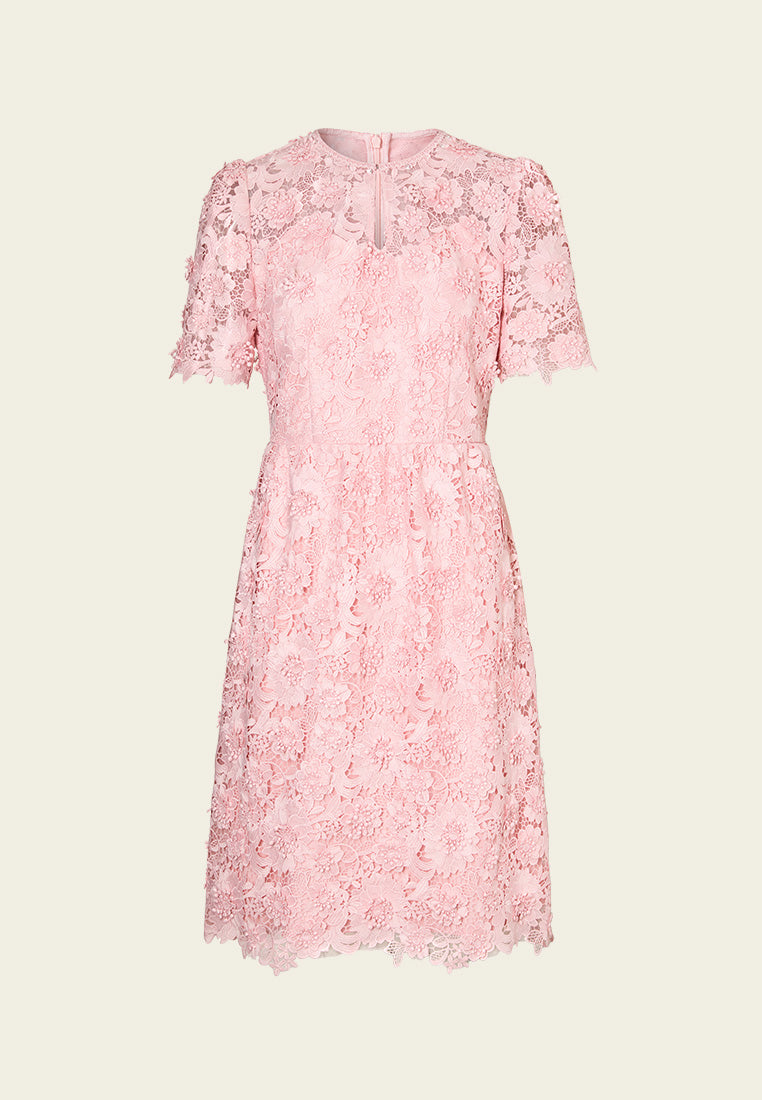 Flower-appliqué Lace Keyhole-neck Mesh Dress