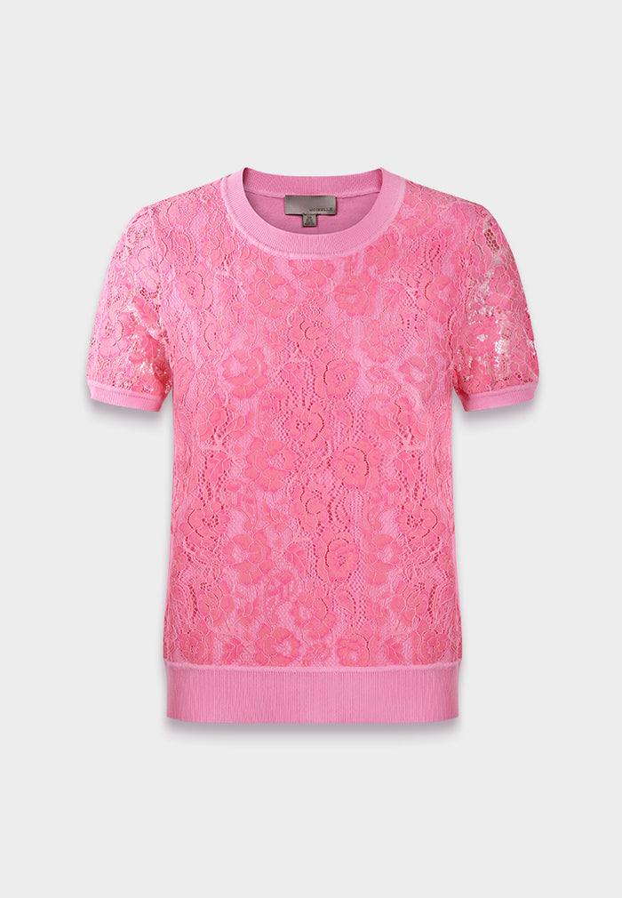 Blush Elegance Lace Top