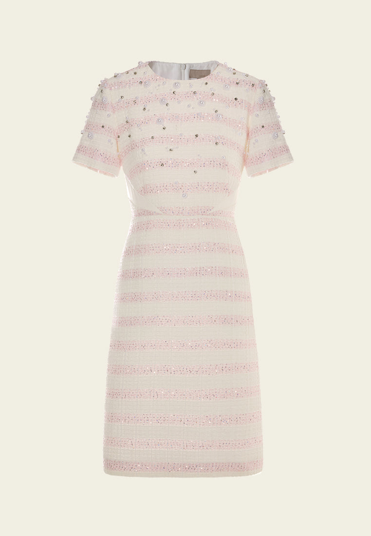 Embellished Stripped Tweed Dress