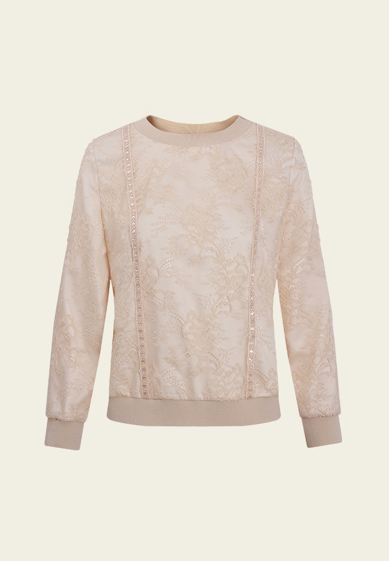 Panelled Mesh Lace Sweatshirt