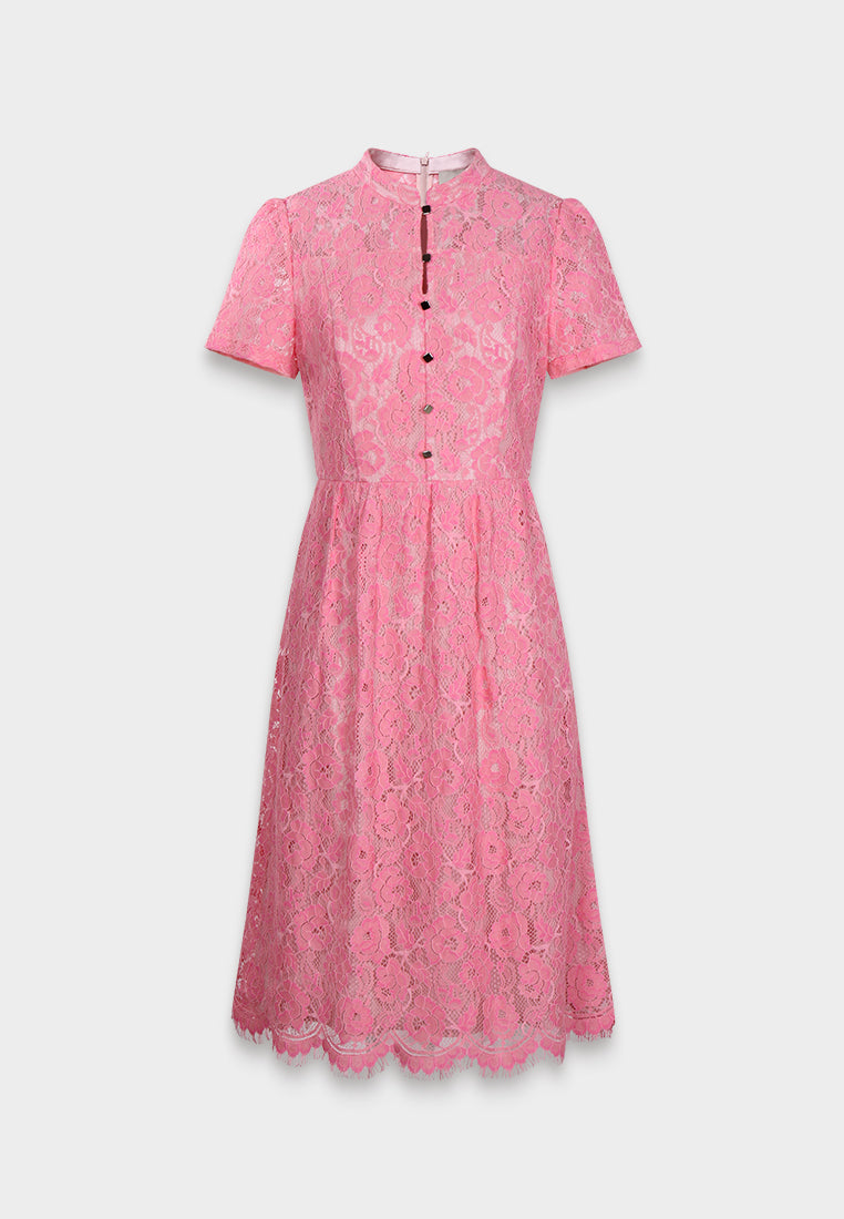 Blush Elegance Lace Dress