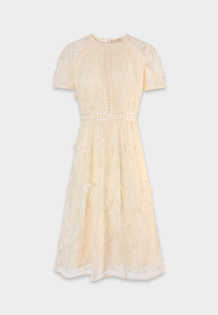 Crème Dentelle Lumière Dress