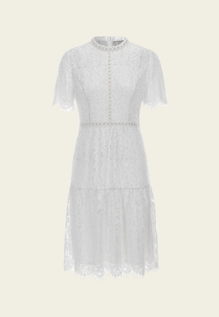 Stand-collar Luerx-trim Frayed-detail Lace Dress