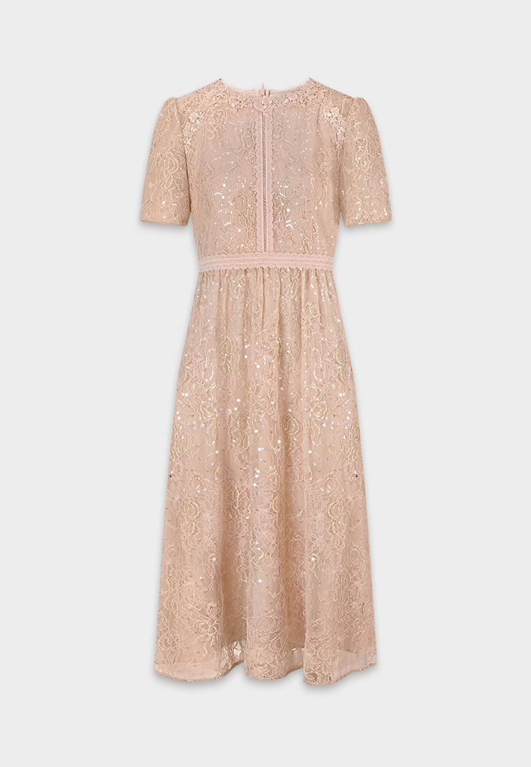 Blush Dentelle Étoilé Dress