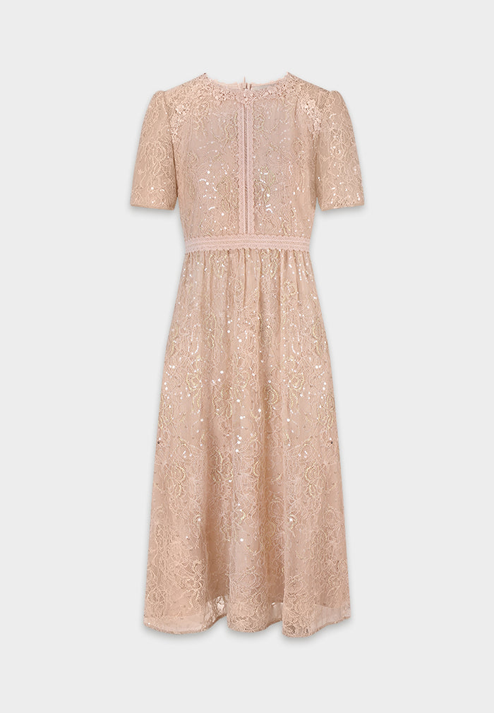 Blush Dentelle Étoilé Dress