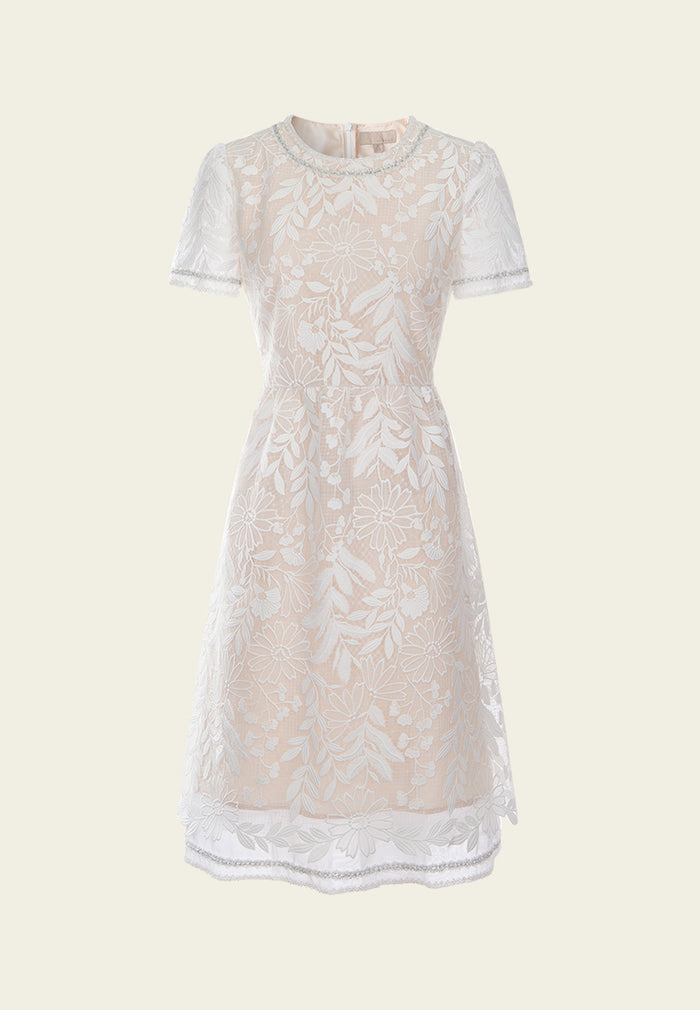 Frayed Lurex-detail Embroidered Mesh dress