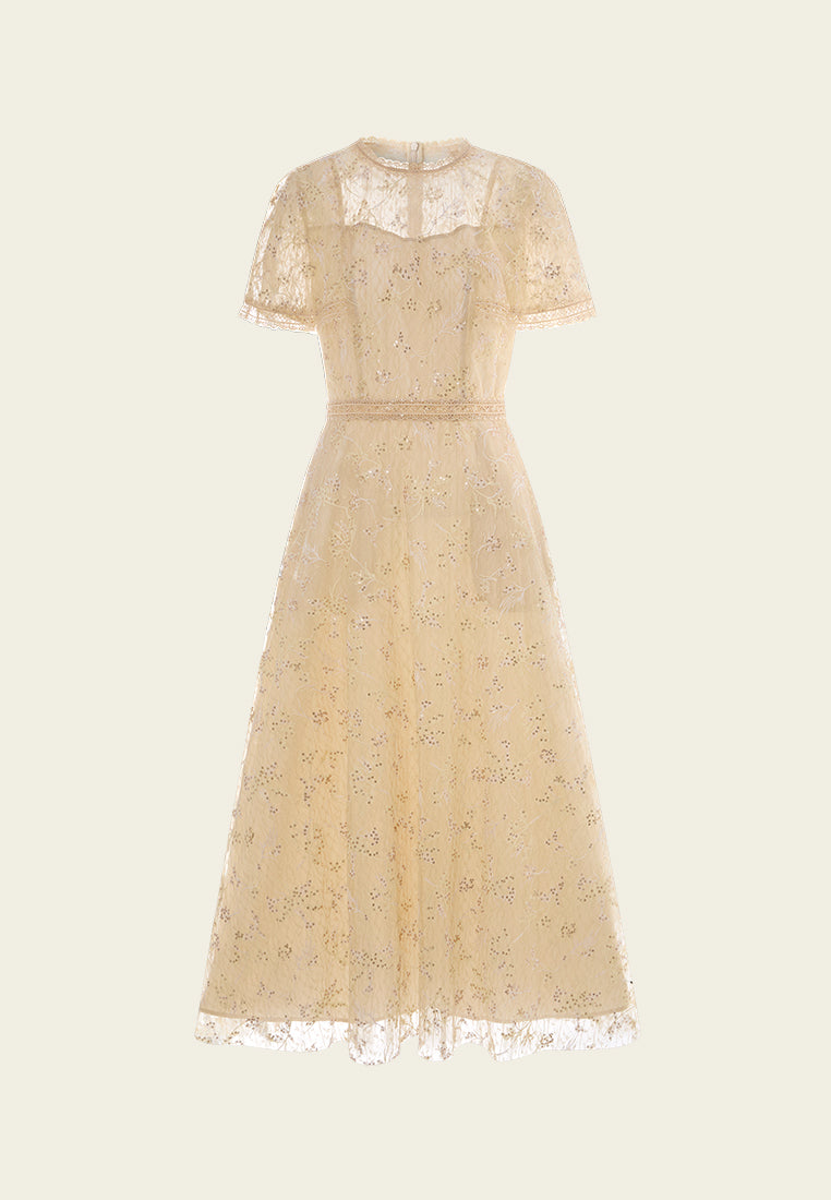 Panelled Lace-collar Embroidery and Sequin Detail Mesh Dress