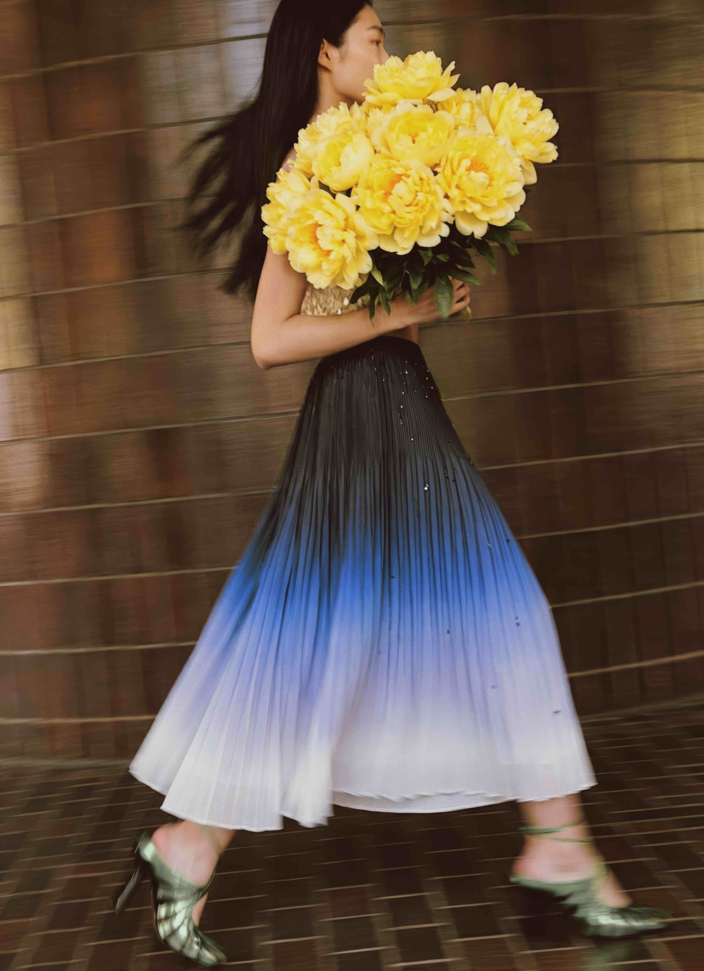 Snowdrop Ombre Pleated Skirt