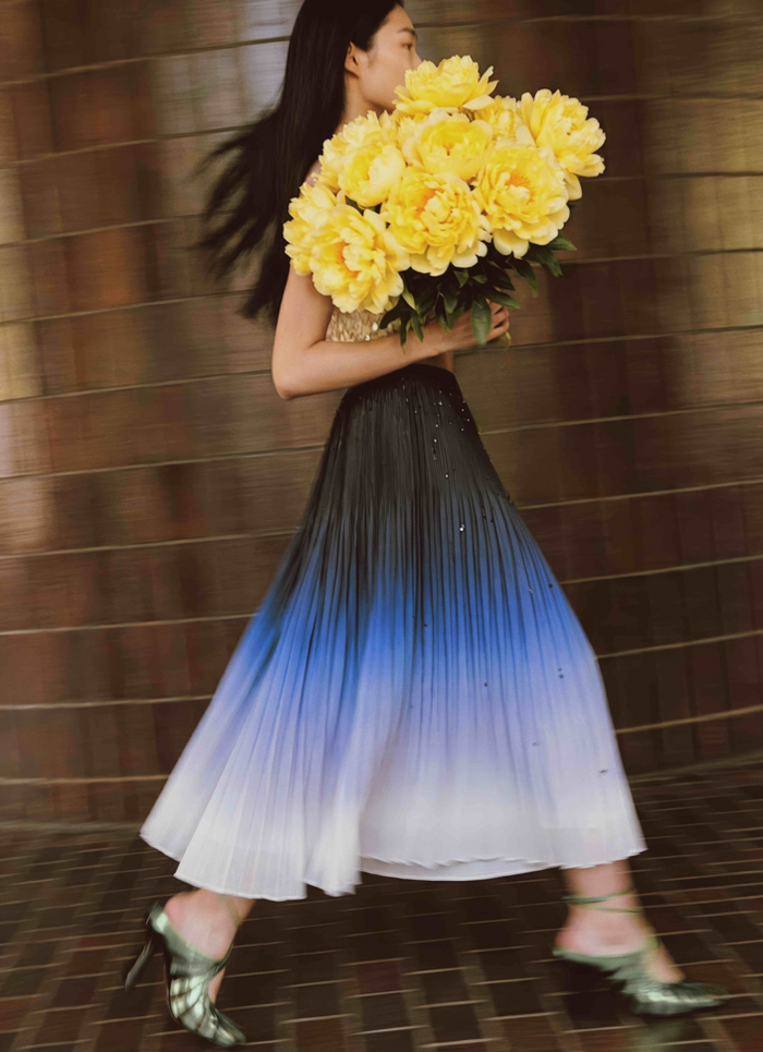 Snowdrop Ombre Pleated Skirt