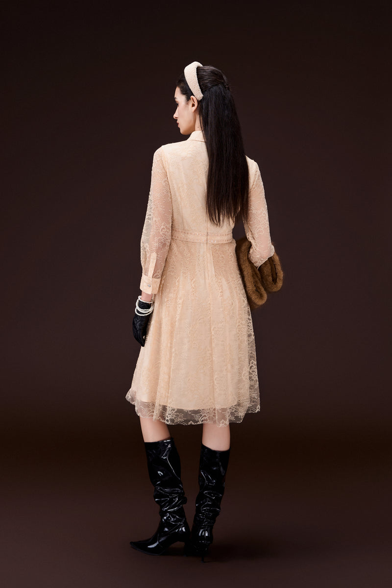 Panelled Lace Dress