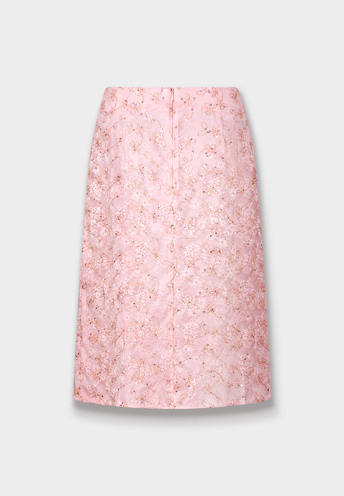 Blush Lace Embellished Skirt