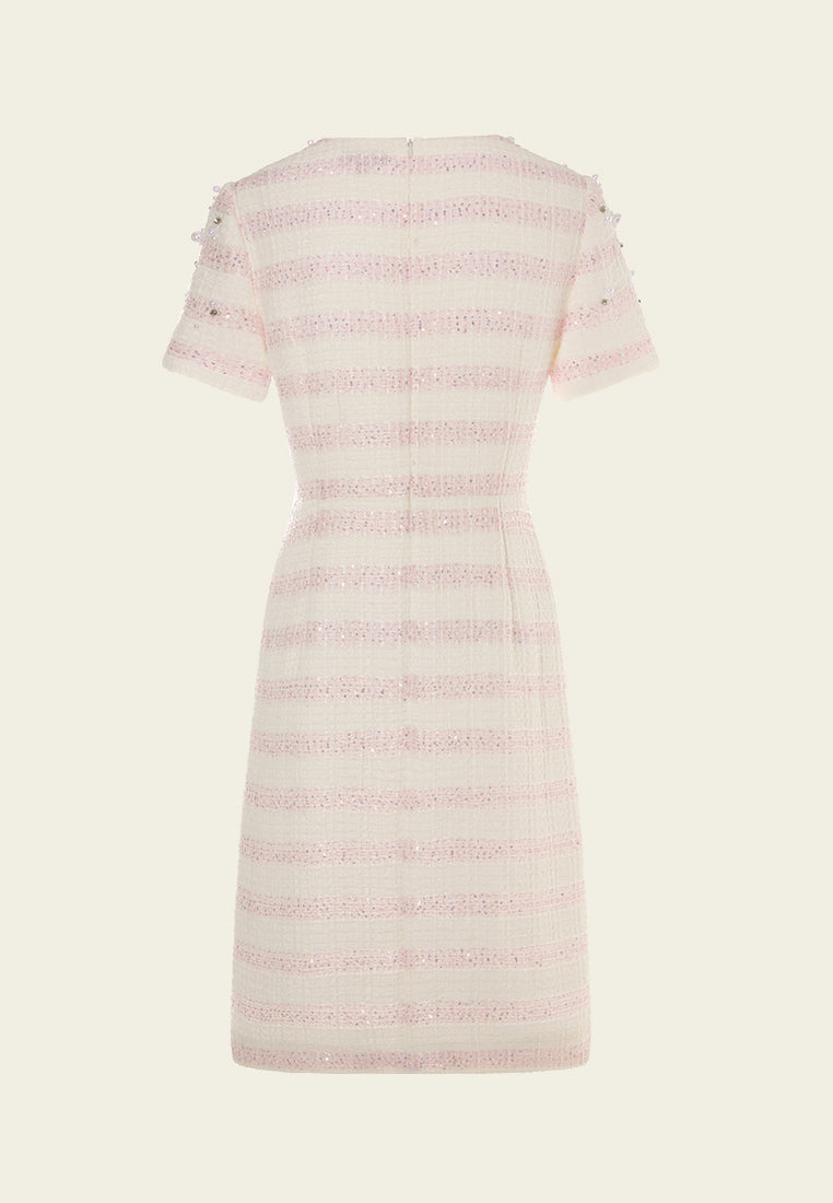 Embellished Stripped Tweed Dress