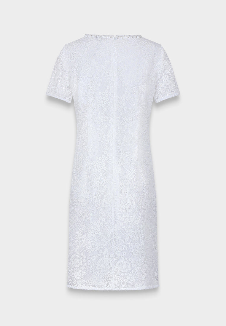 Ivory Lace Elegance Dress