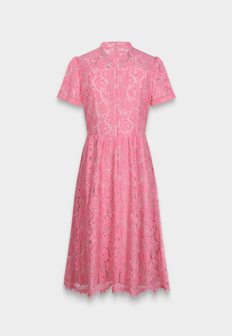Blush Elegance Lace Dress