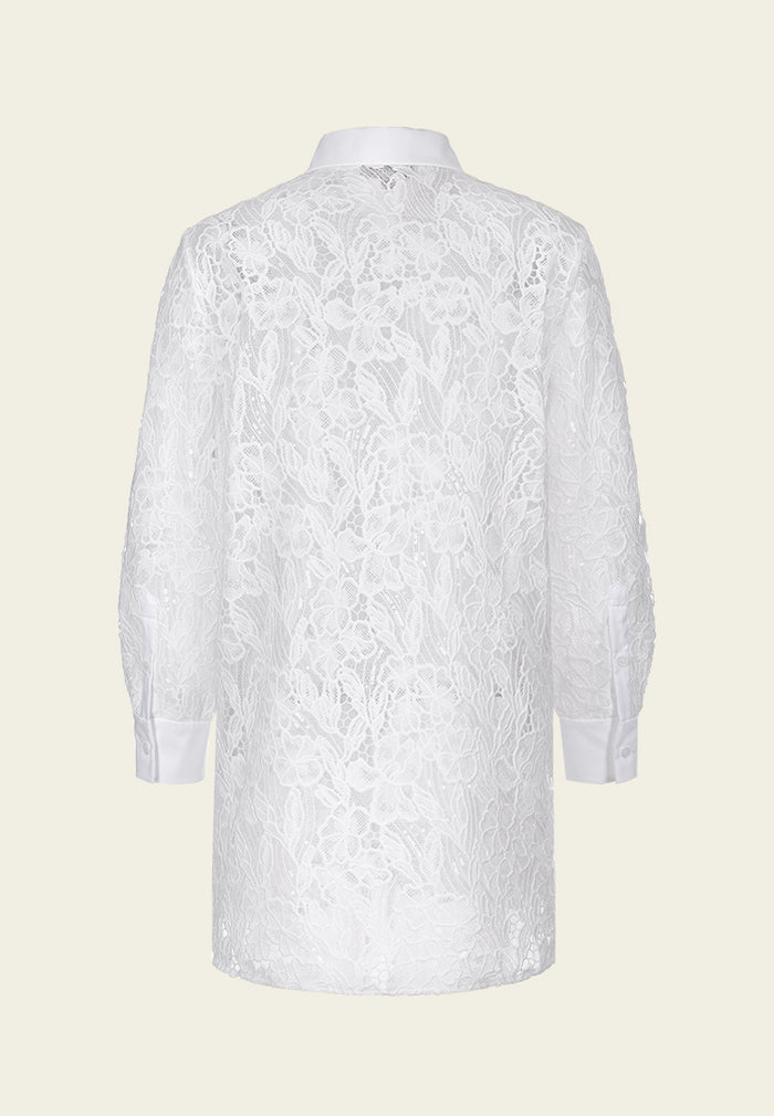Embroidered Sequin-detail Mesh Lace Shirt Dress