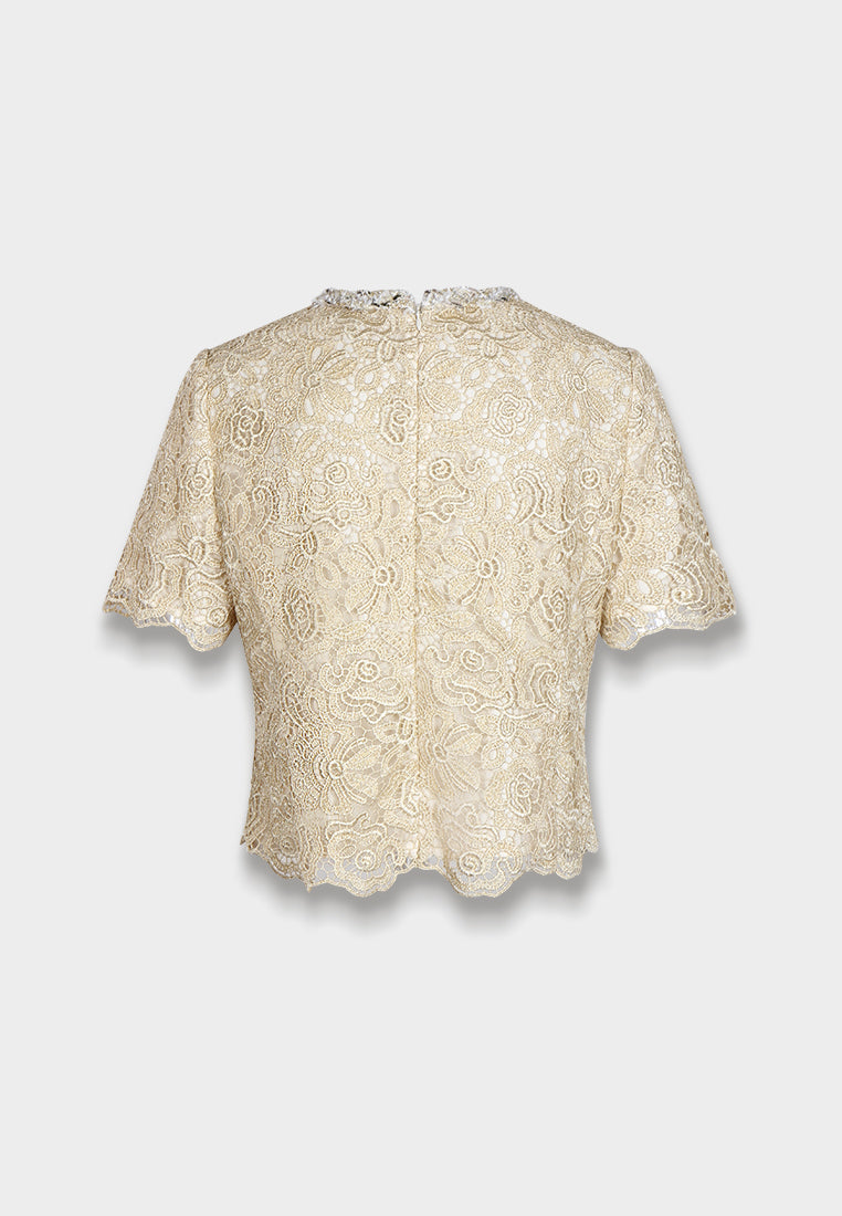 Champagne Lace Embellished Blouse