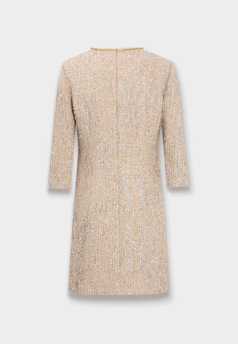 Champagne Bijou Tweed Dress