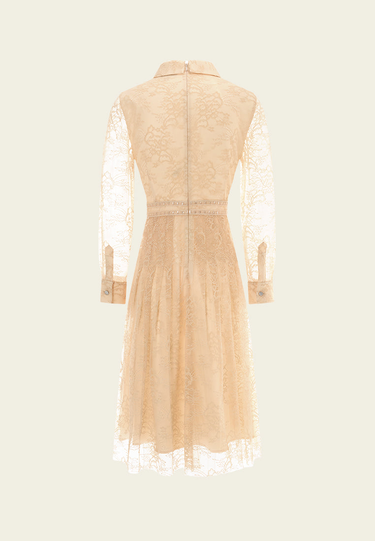 Panelled Lace Dress