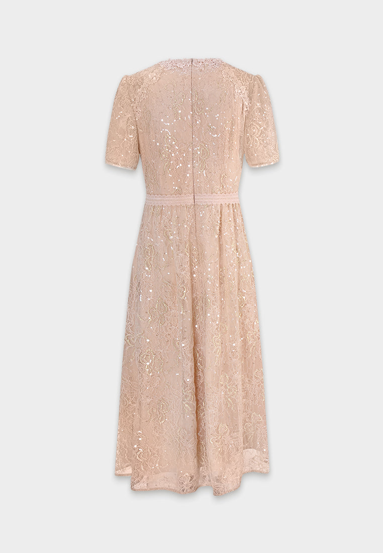 Blush Dentelle Étoilé Dress