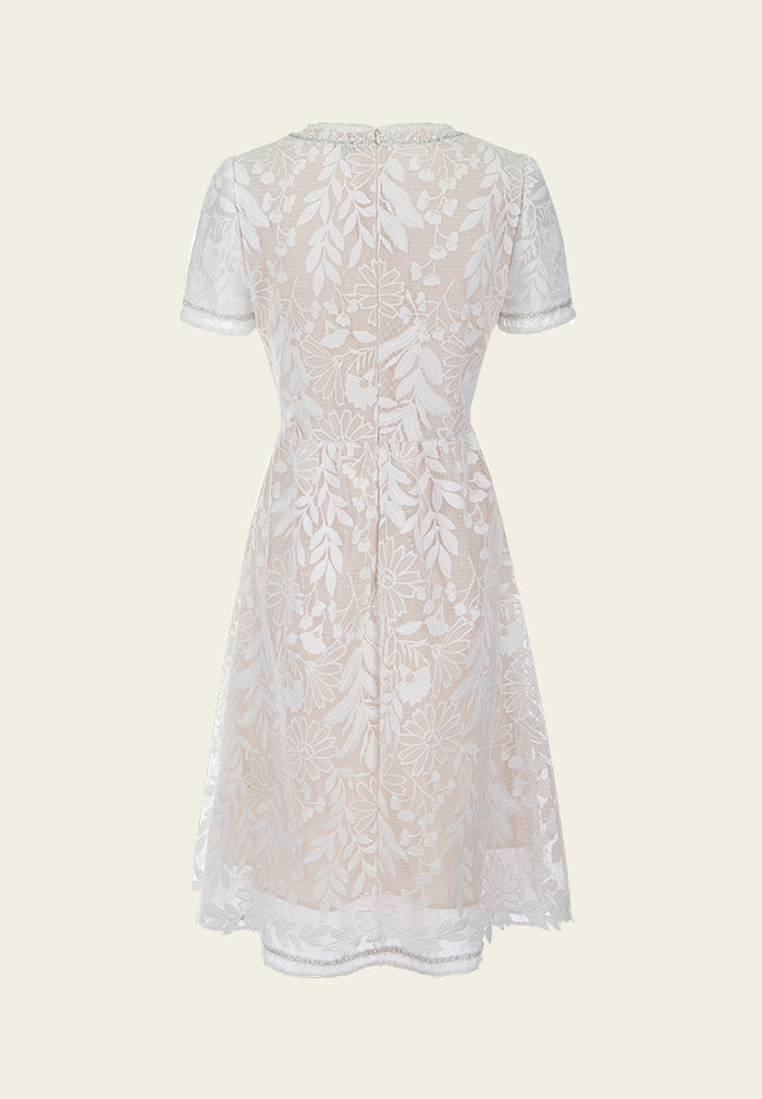 Frayed Lurex-detail Embroidered Mesh dress