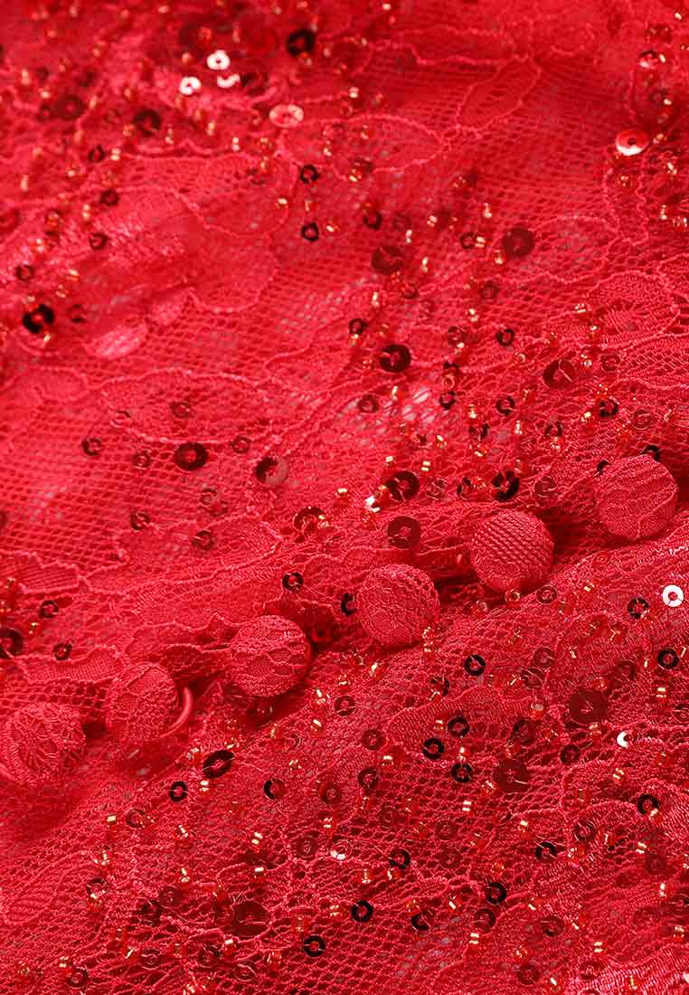 Rouge Dentelle Éclat Dress