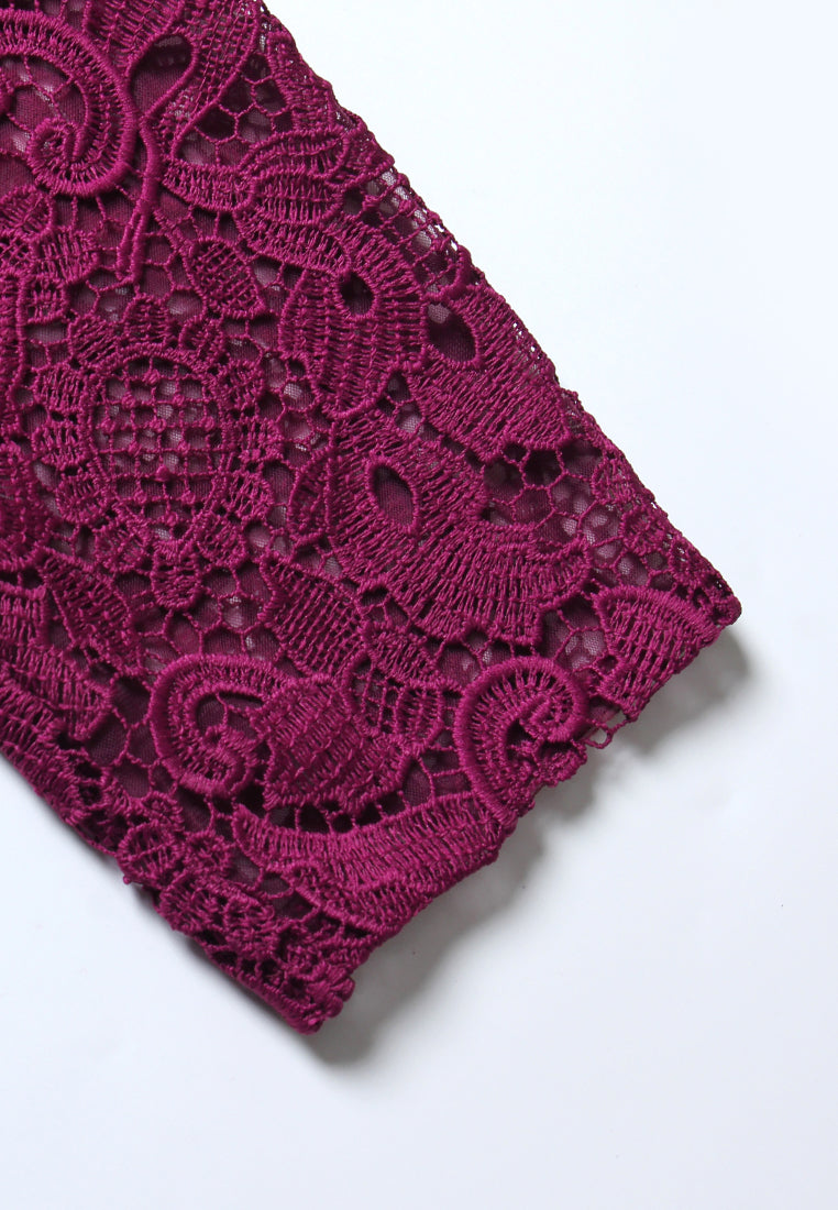 Magenta Dentelle Pleated Dress