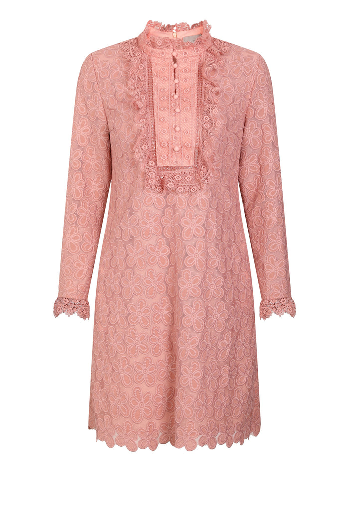 Rosé Romance Lace Shift Dress