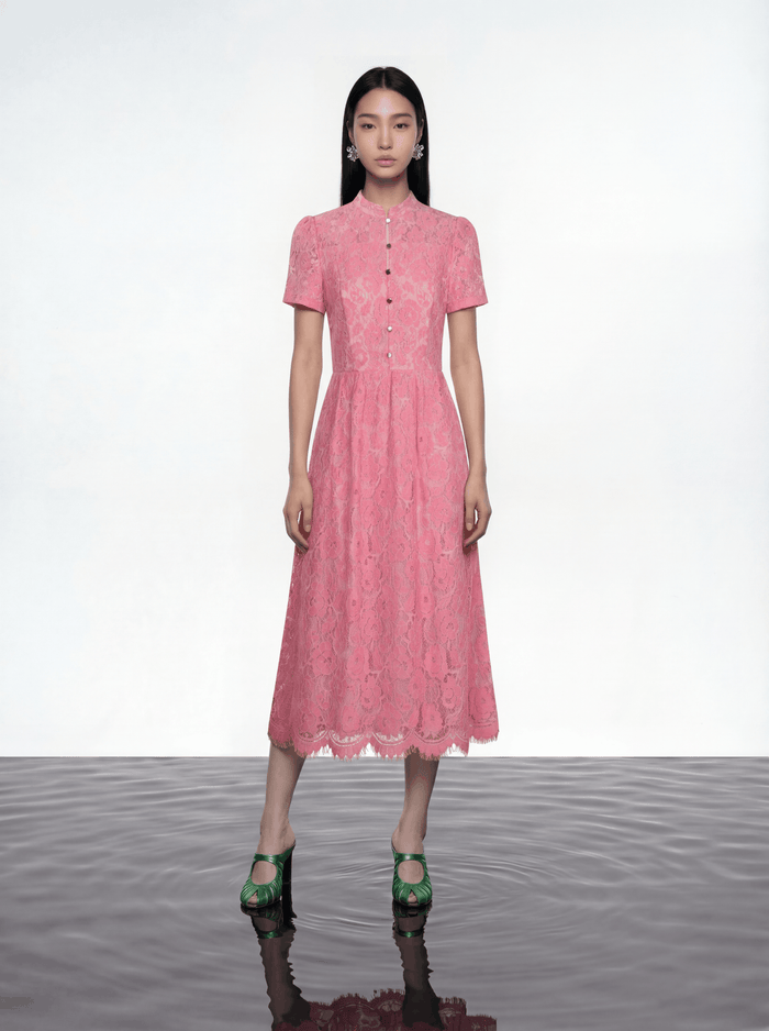 Blush Elegance Lace Dress