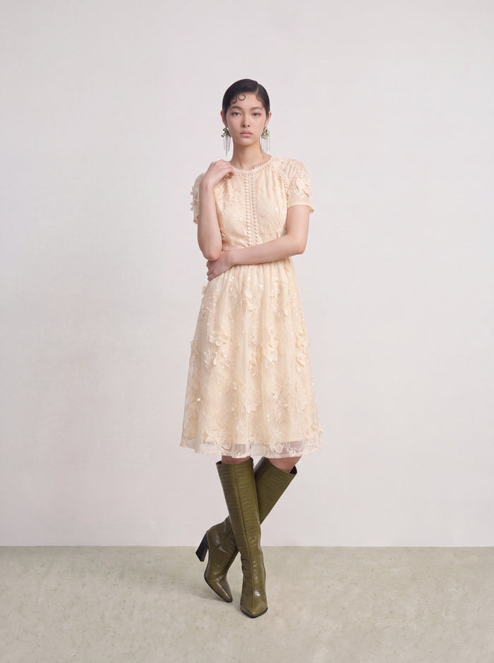 Crème Dentelle Lumière Dress
