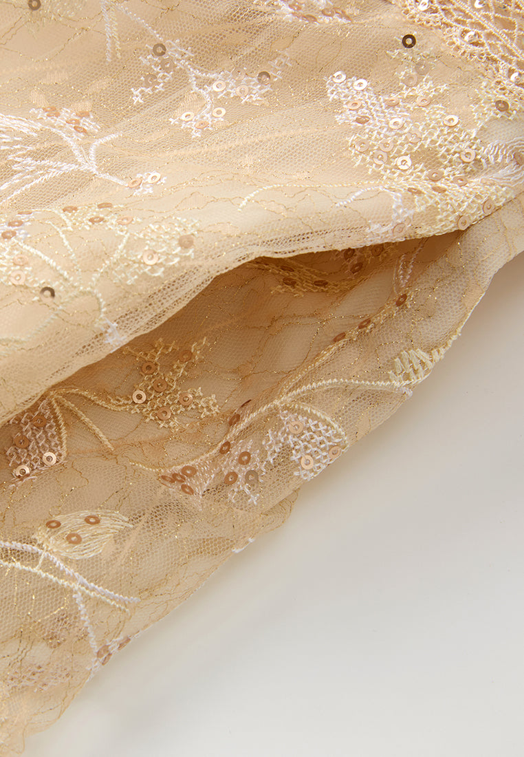 Panelled Lace-collar Embroidery and Sequin Detail Mesh Dress
