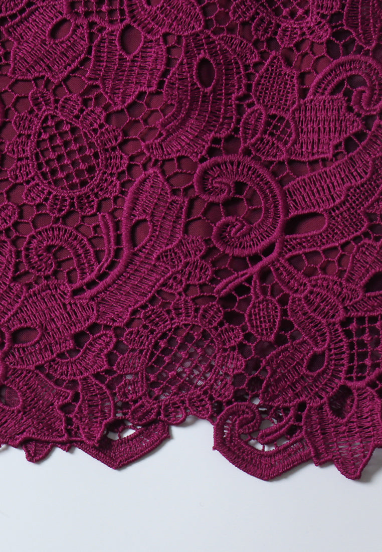 Magenta Dentelle Pleated Dress