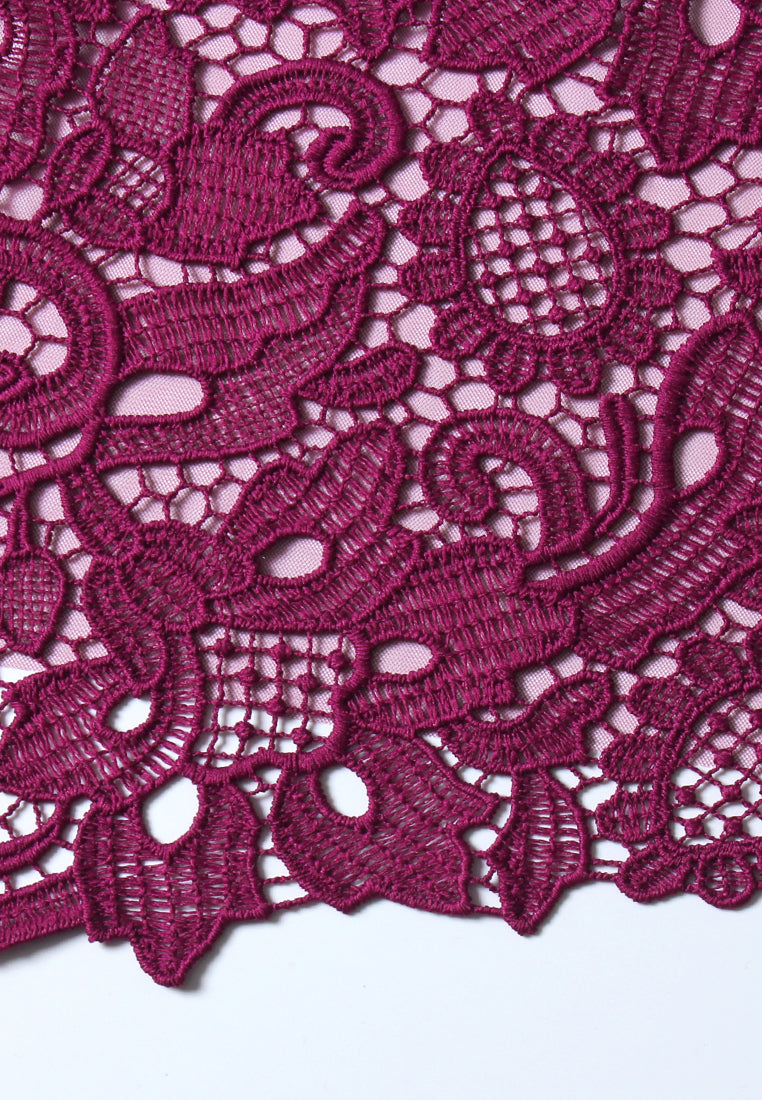 Magenta Dentelle Pleated Dress