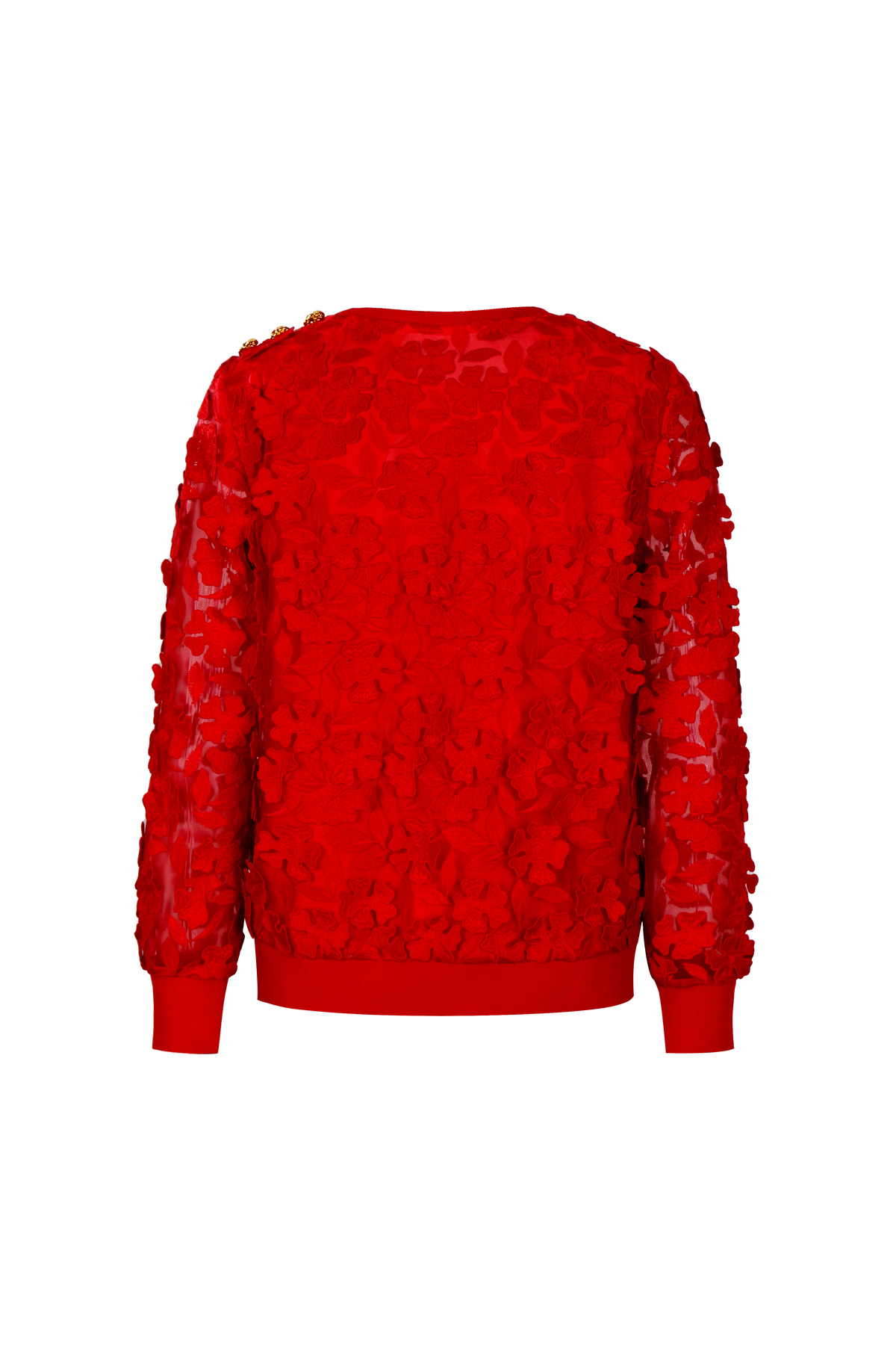 Scarlet Bloom Embellished Top