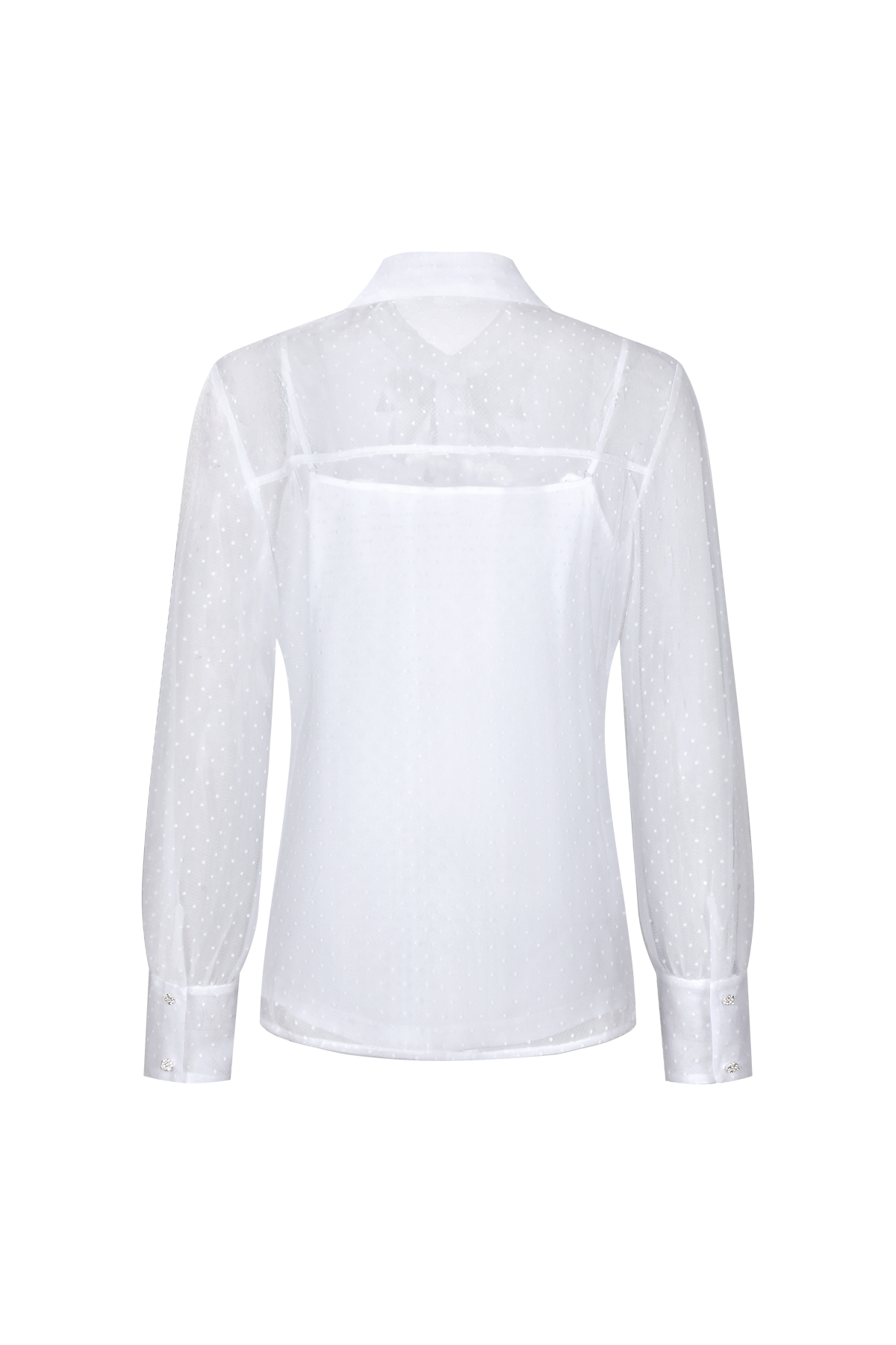 Ornate Ribbon Polka Blouse
