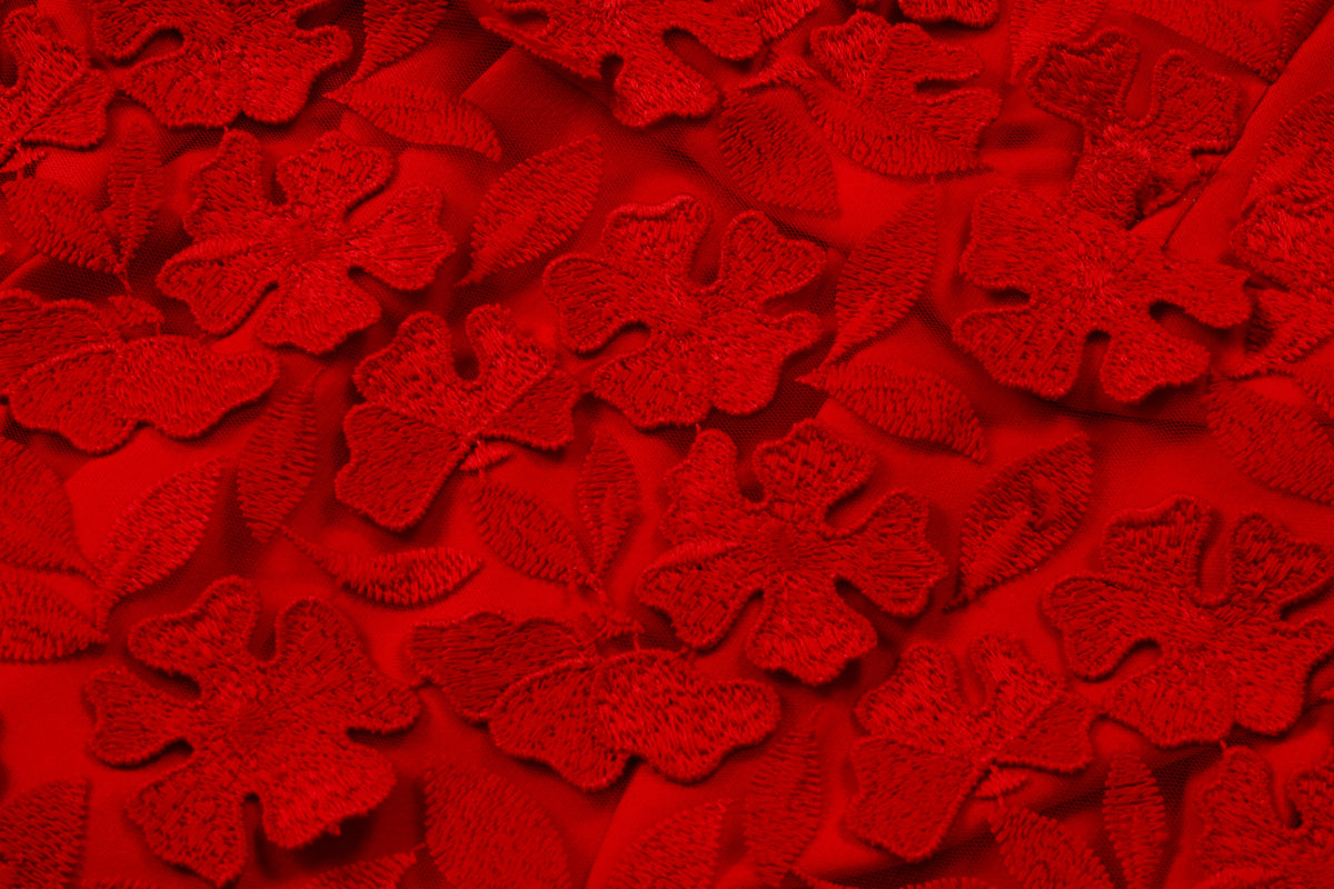 Scarlet Bloom Appliqué Dress