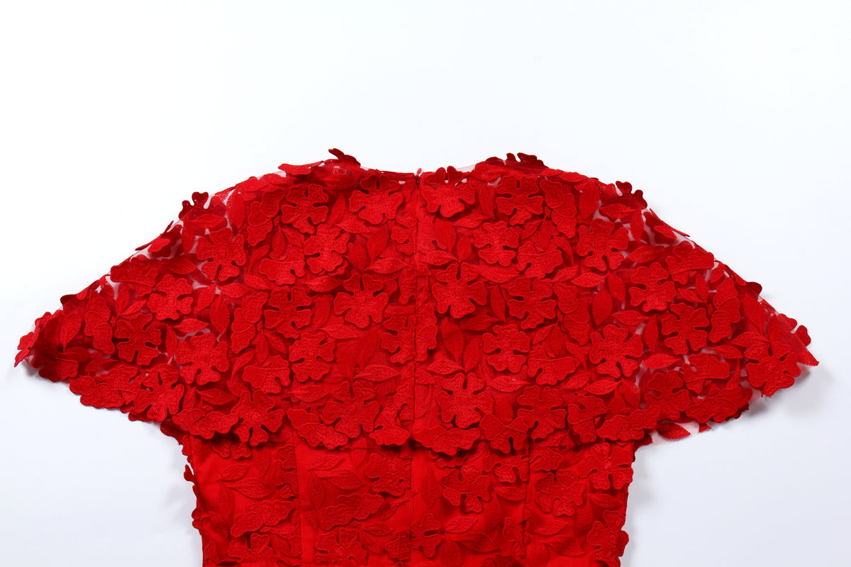 Scarlet Bloom Appliqué Dress
