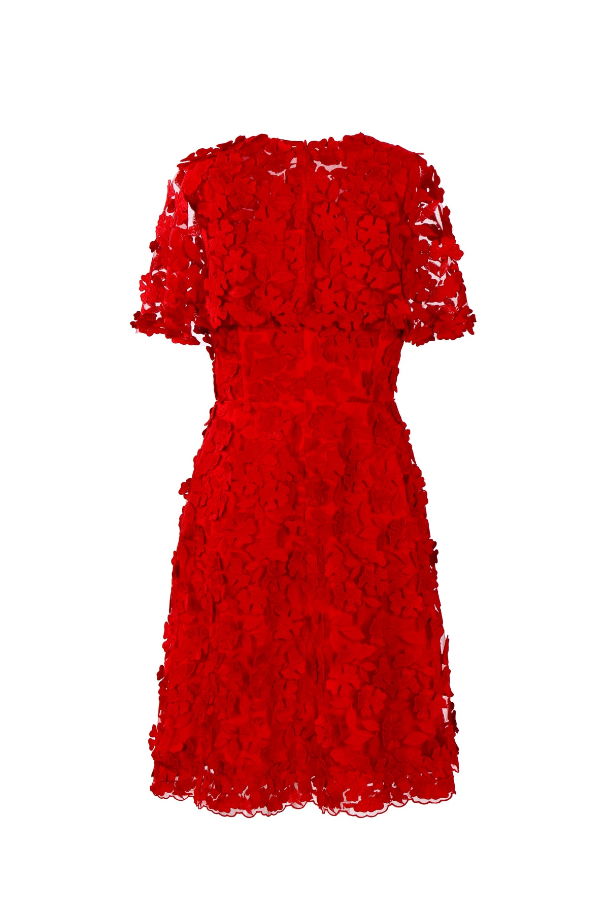 Scarlet Bloom Appliqué Dress
