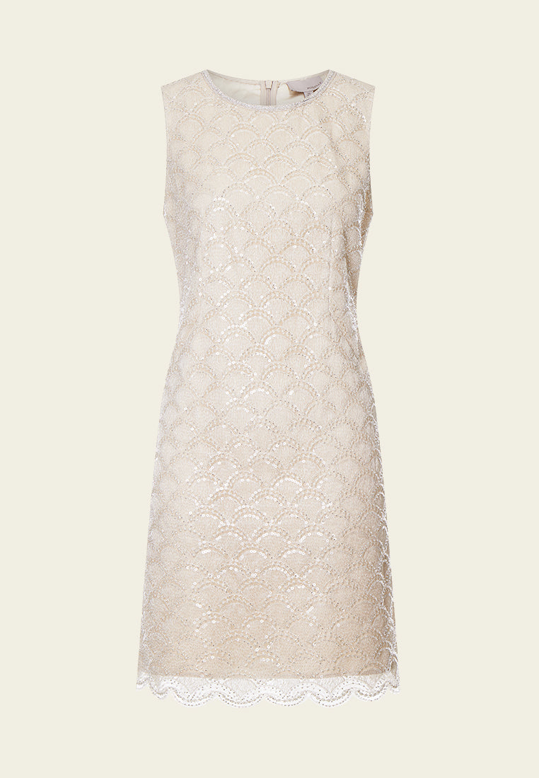 Beige Embroidered Mesh Sleeveless Dress