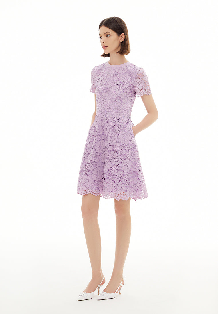 Lavender Lace Flared Cocktail Dress