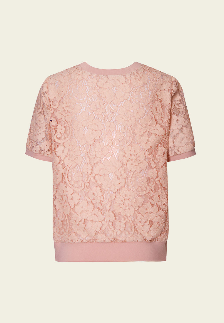 Pink Lace Short Sleeves Top