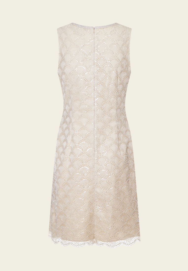 Beige Embroidered Mesh Sleeveless Dress - MOISELLE