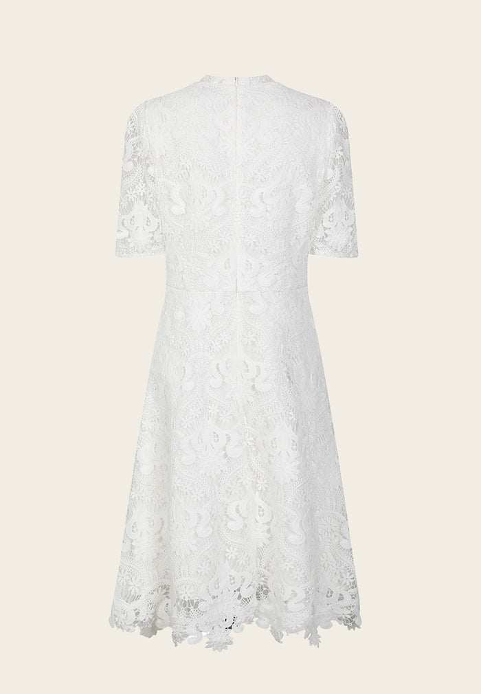 Mid-Length Sleeve Lace Dress - MOISELLE