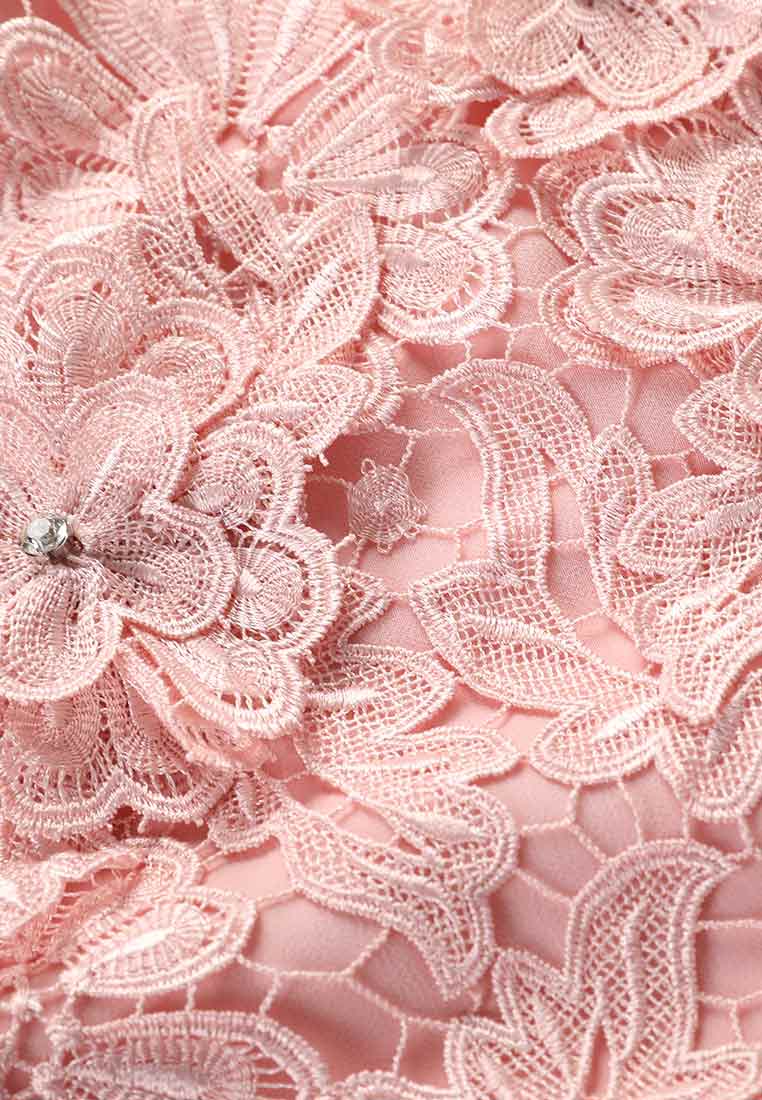 Pink Embellished Floral Lace Evening Dress - MOISELLE