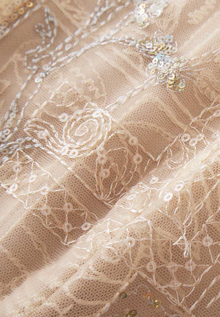 Beige Embroidered Sequin-detailing Mesh Dinner Dress - MOISELLE