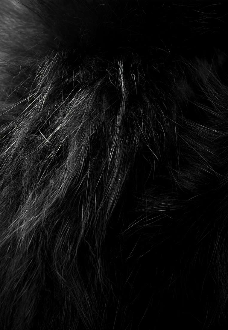 Black Fur Collar Wool Belted Coat - MOISELLE
