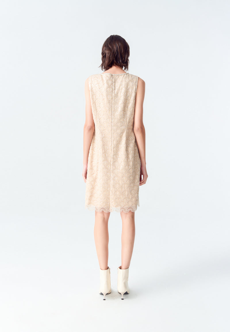 Beige Embroidered Mesh Sleeveless Dress